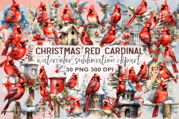 Christmas Red Cardinal Sublimation: Illustrations Review